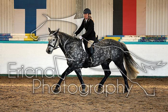 Novice2199