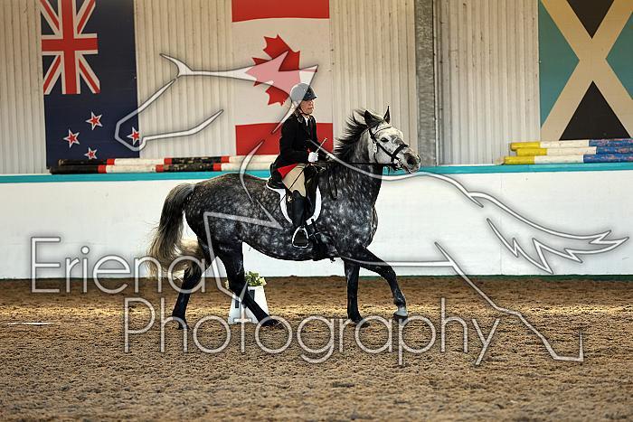 Novice2203