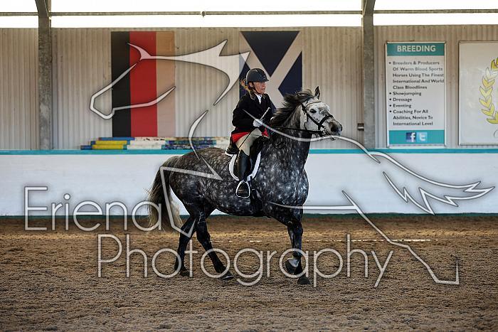 Novice2208