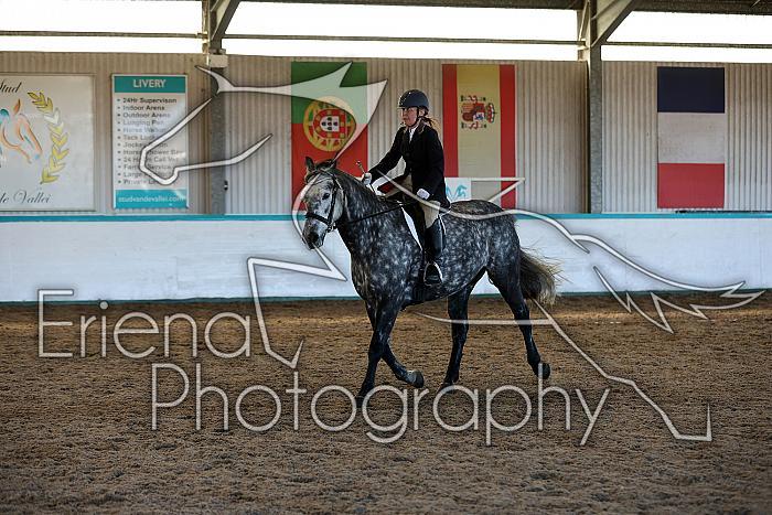 Novice2211