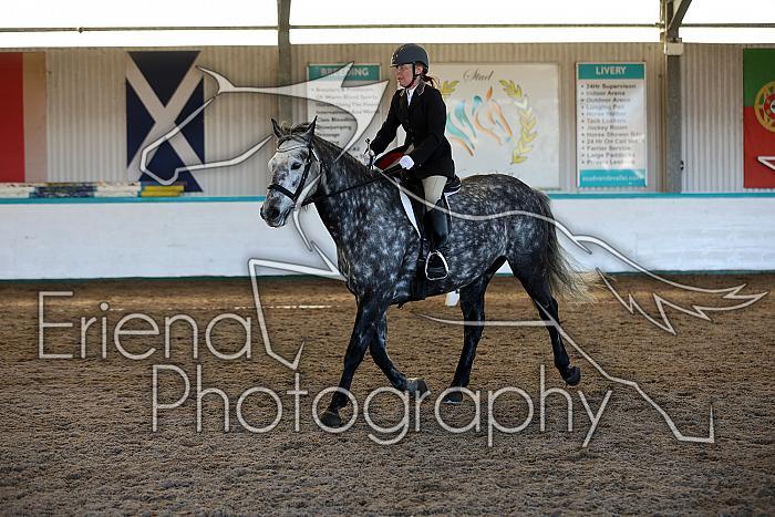 Novice2213