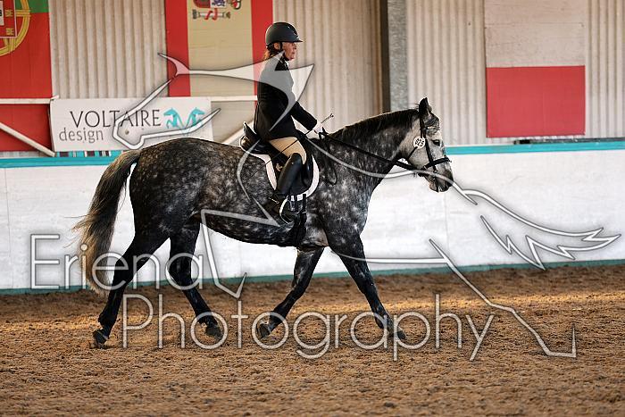 Novice2217