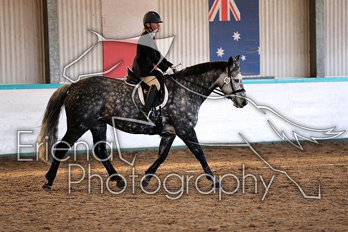 Novice2218