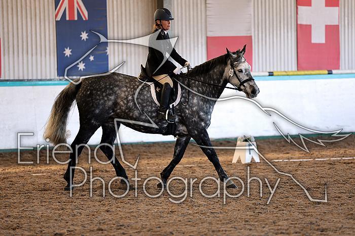 Novice2219