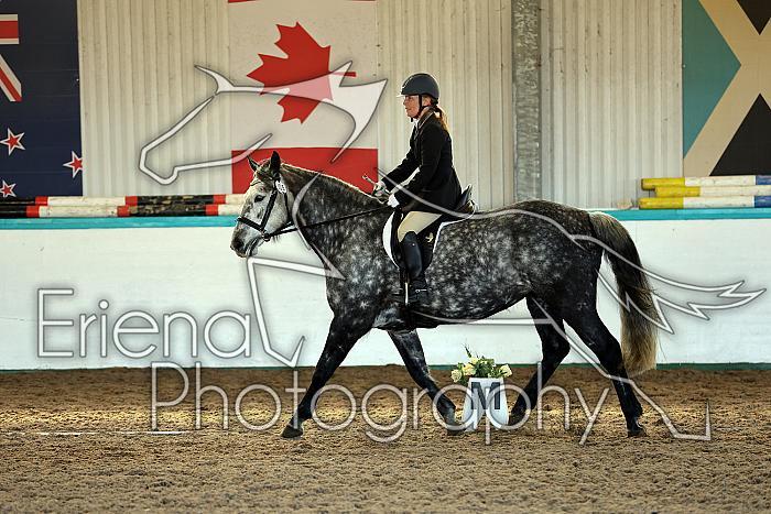 Novice2226