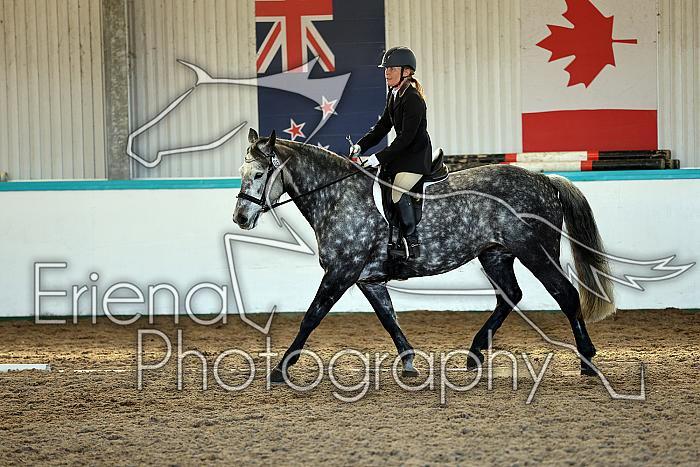 Novice2227