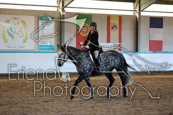 Novice2231
