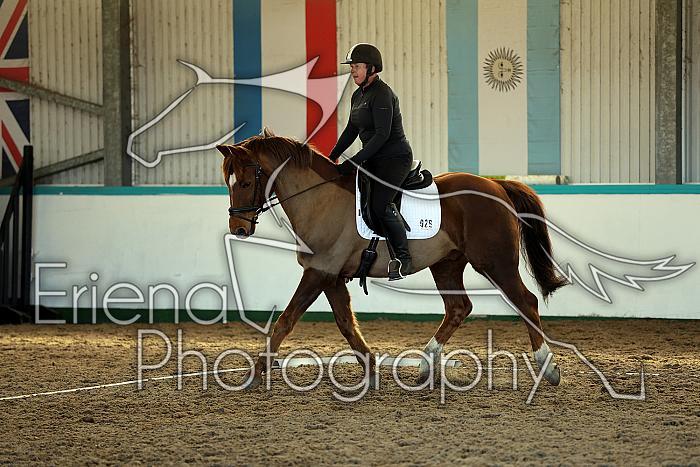 Novice3017