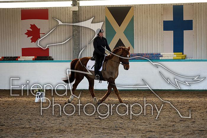 Novice3023
