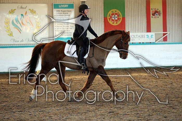 Novice3028
