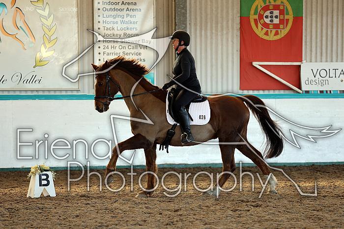 Novice3033