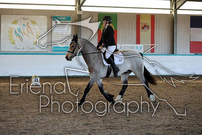 Novice3101