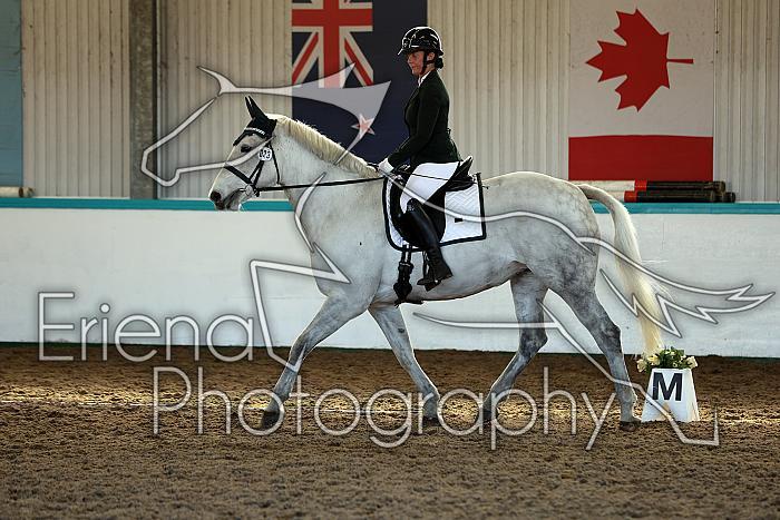 Novice3167