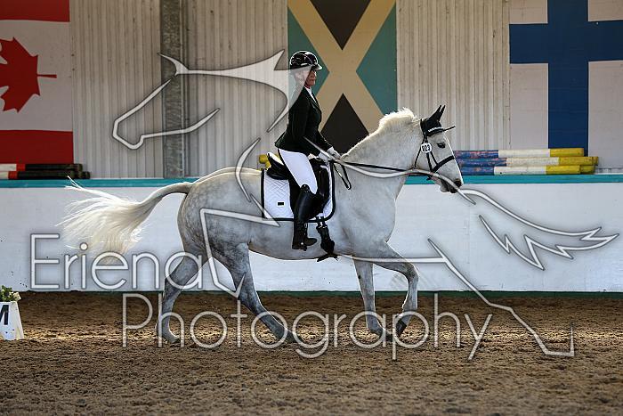 Novice3174