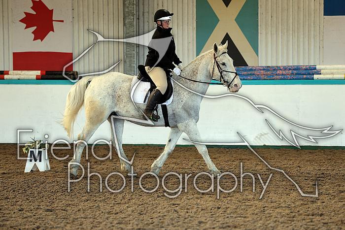 Prelim2009