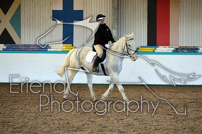 Prelim2011