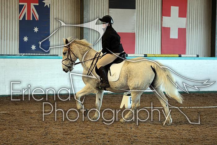 Prelim2012