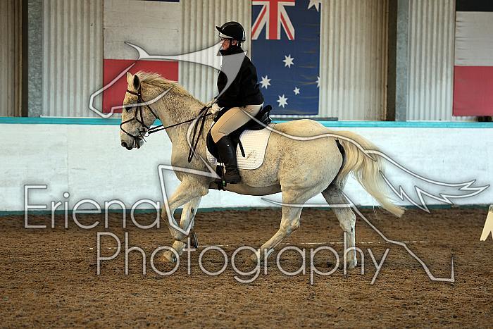 Prelim2013