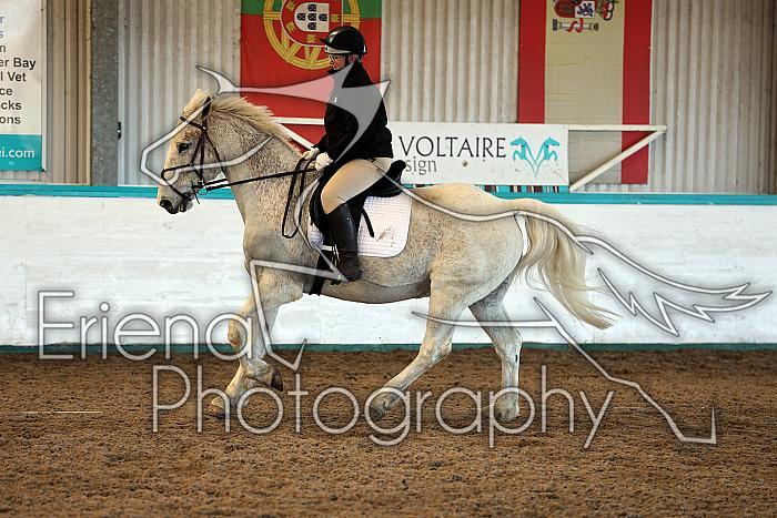Prelim2015