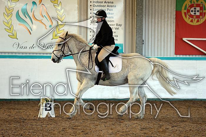 Prelim2016