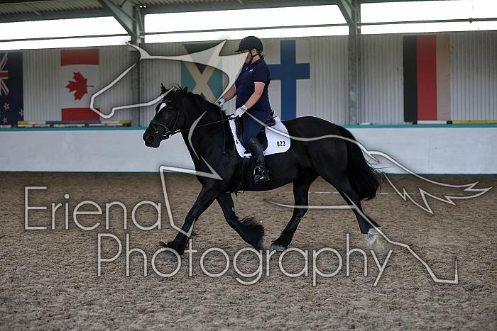 LRCAugNovice2015