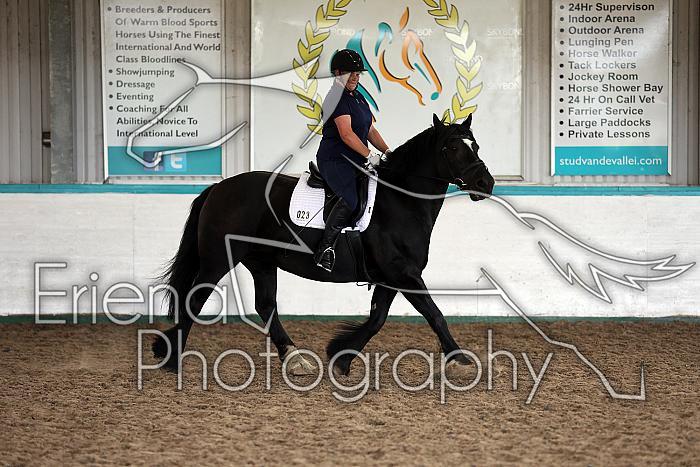 LRCAugNovice2017