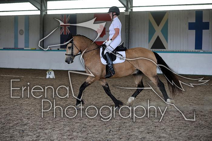 LRCAugNovice2165