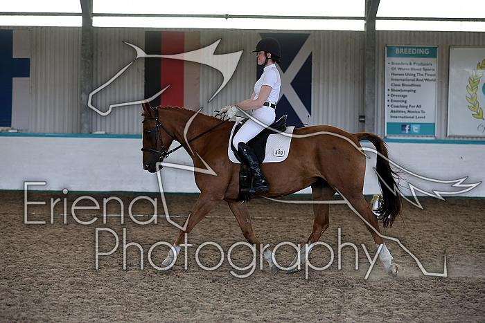 LRCAugNovice2217