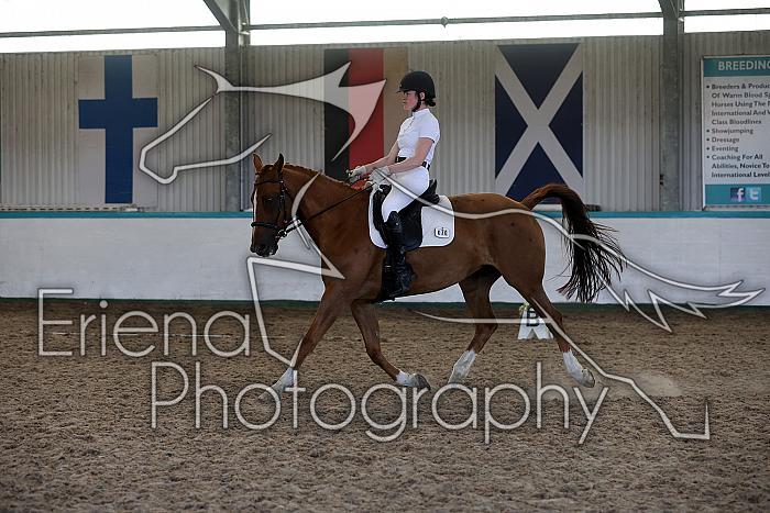 LRCAugNovice2228