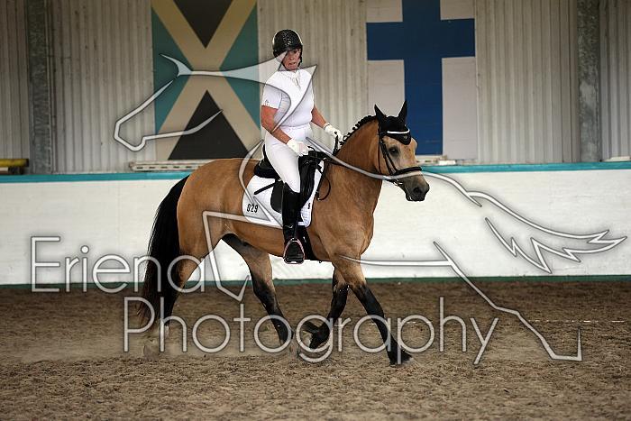 LRCAugNovice3039