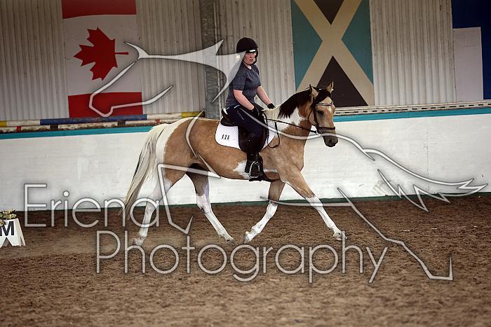 LRCAugNovice3078