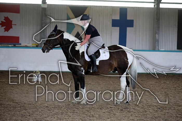 LRCAugNovice3117