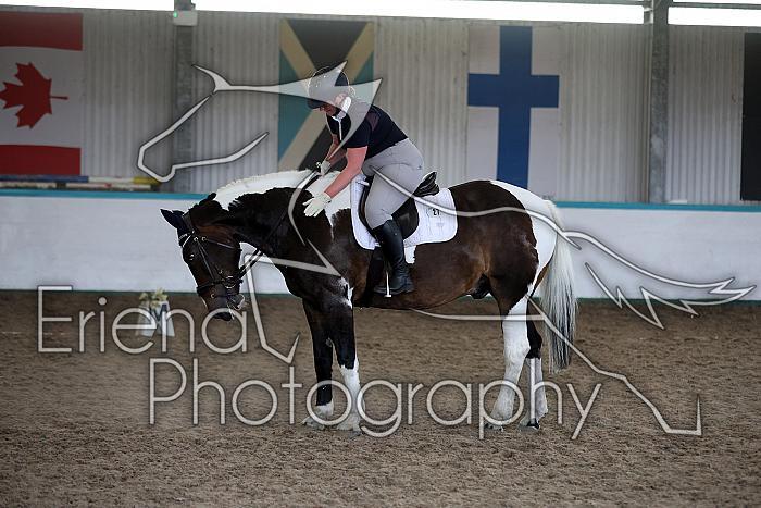 LRCAugNovice3119