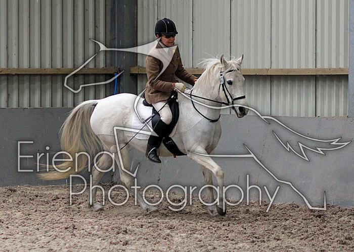 Novice27008
