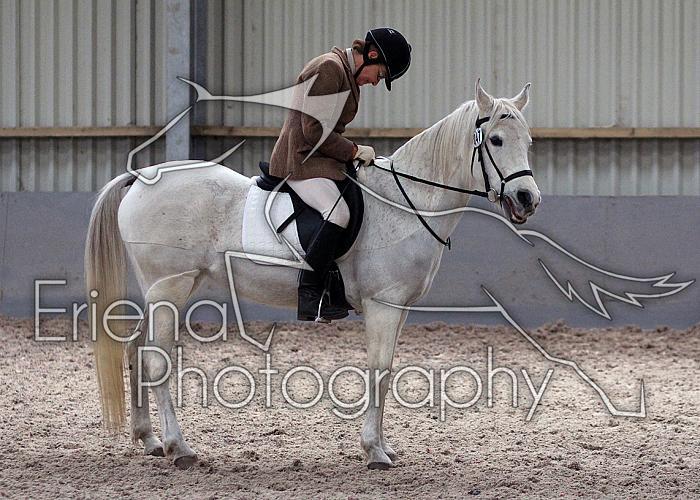 Novice27017