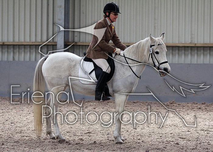 Novice27019