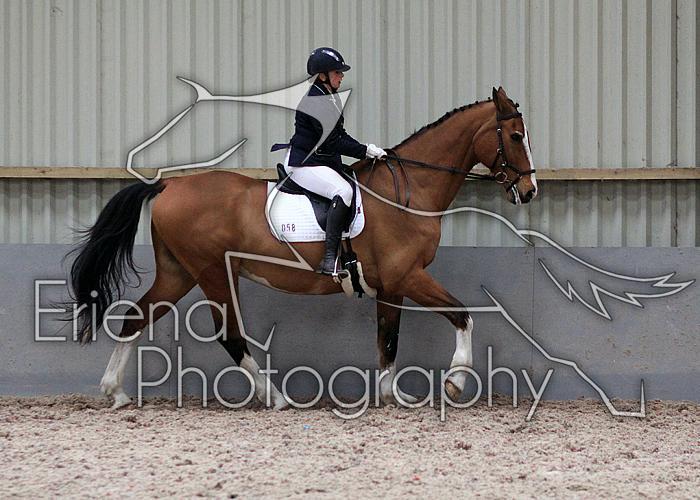 Novice27021
