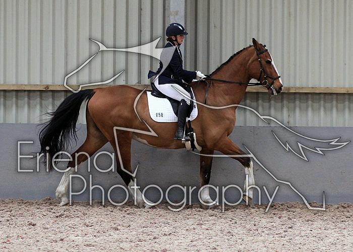 Novice27022