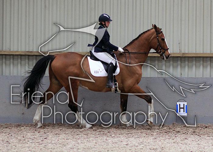 Novice27023