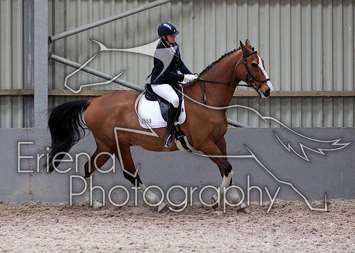 Novice27025