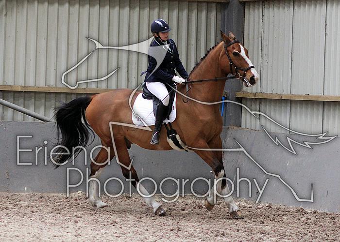 Novice27026