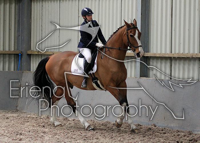 Novice27027