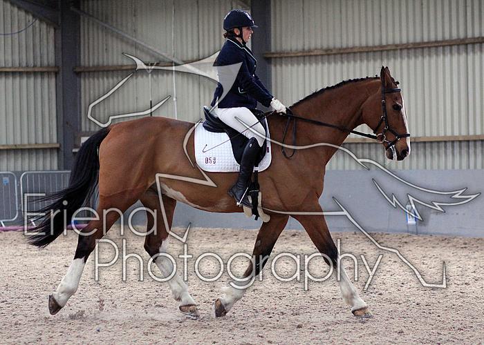 Novice27028