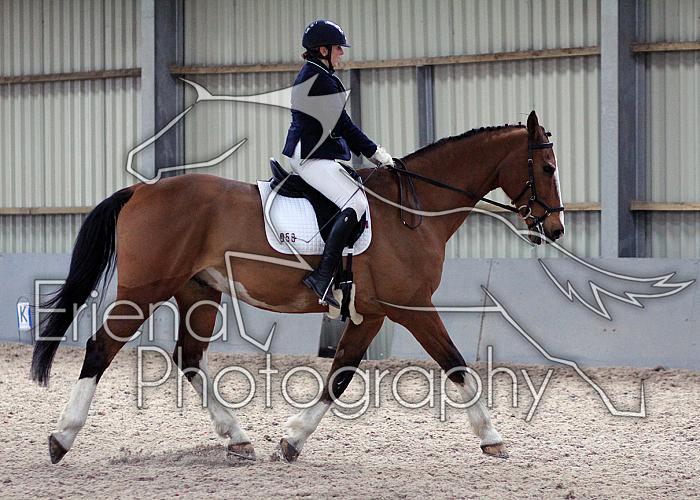 Novice27029