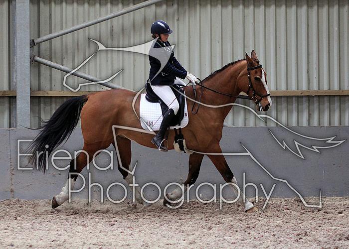 Novice27031