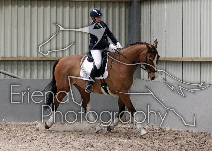 Novice27032