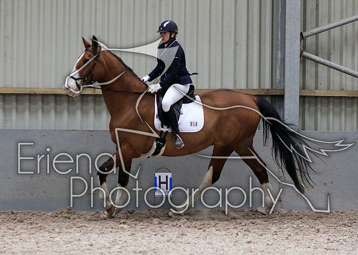 Novice27033