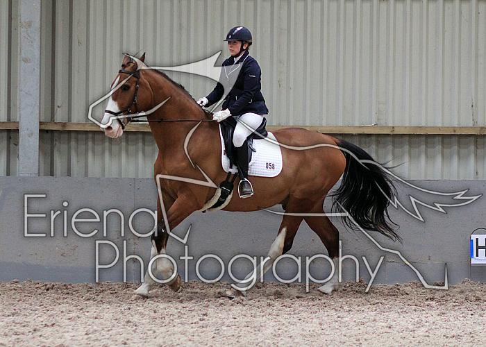 Novice27034