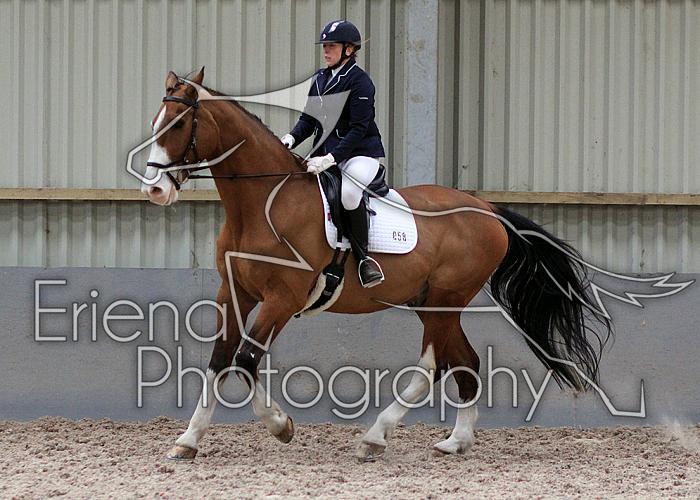 Novice27035