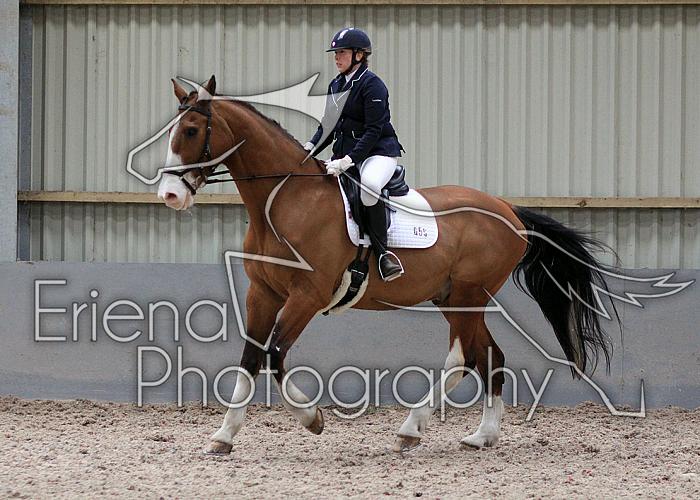 Novice27036